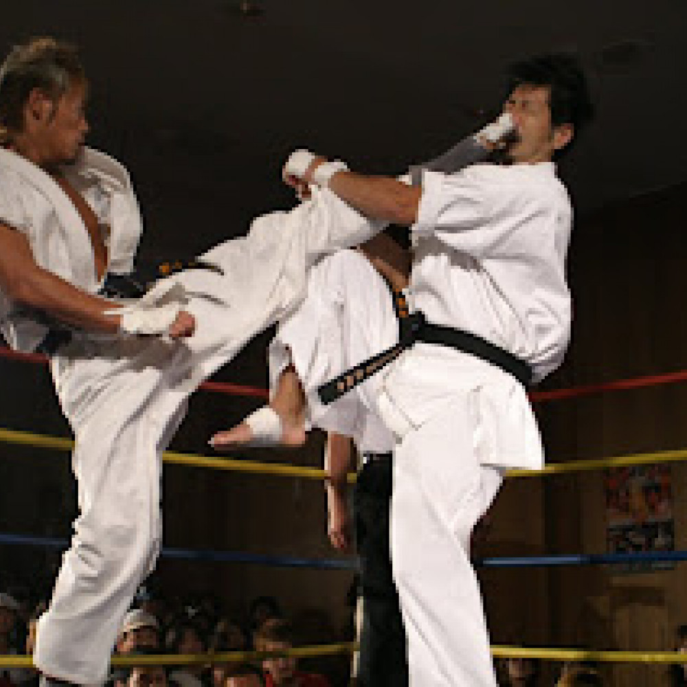 Shidokan Karate